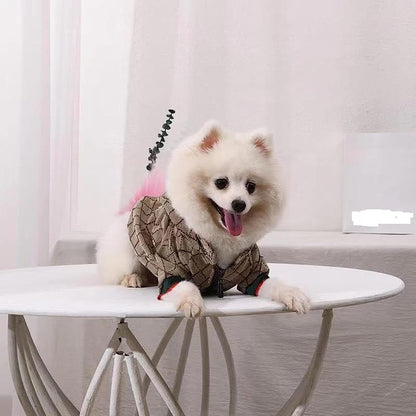 Luxury Dog Designer Hoodie 