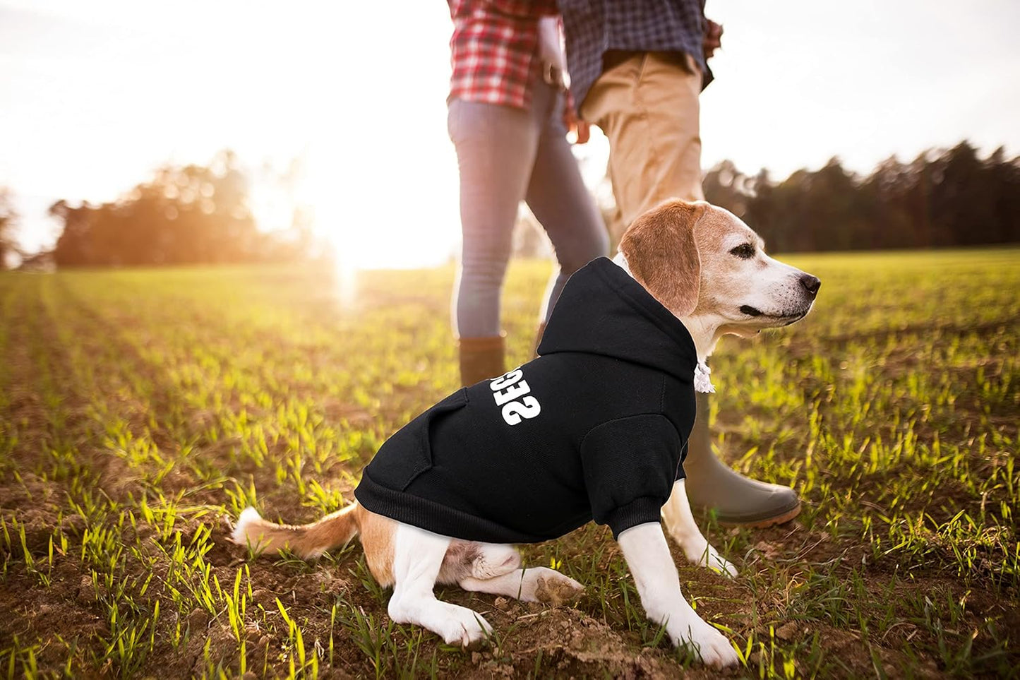 Security Doggie Hoodie 