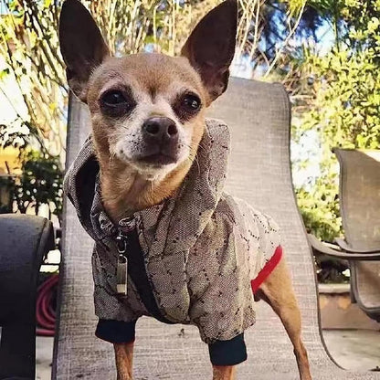 Luxury Dog Designer Hoodie 