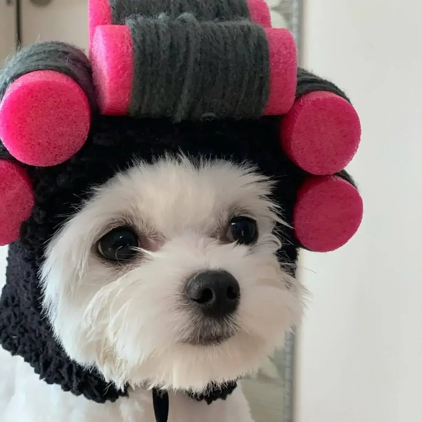 Doggie Curly Hair Perm Head Cap 