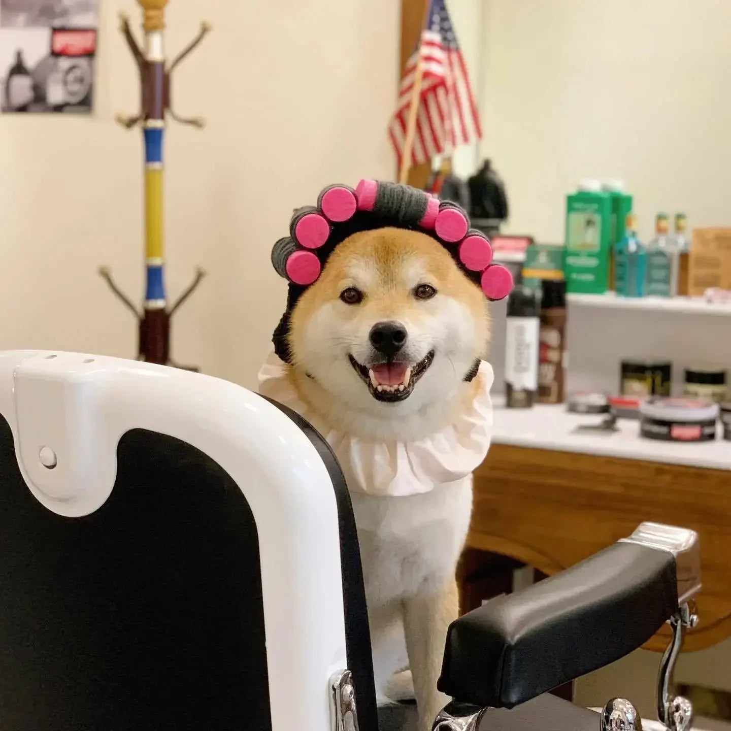 Doggie Curly Hair Perm Head Cap 