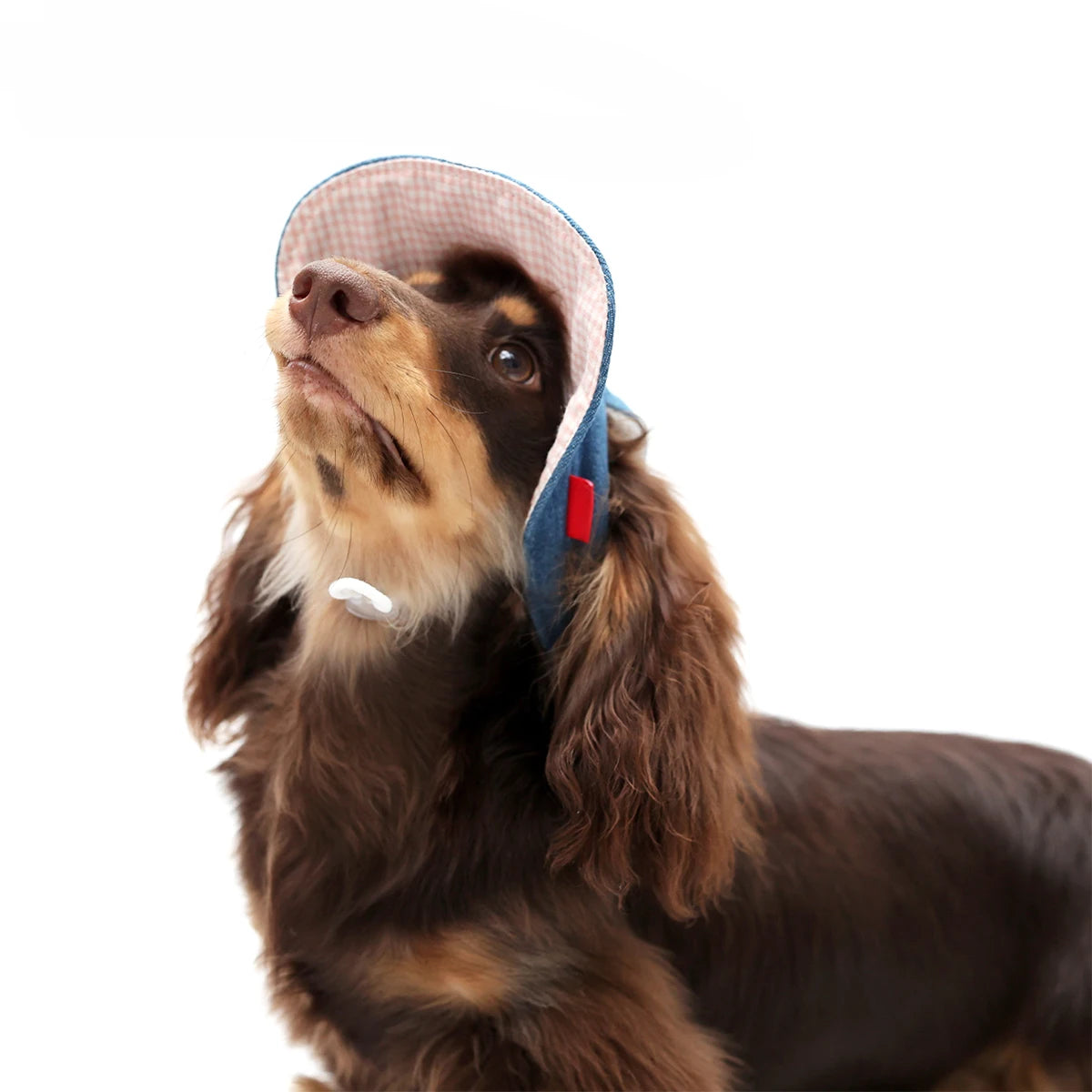 Doggie Baseball  Sports Hat 